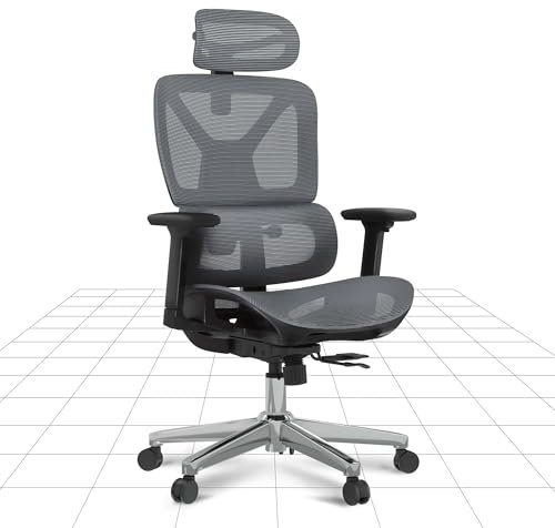FLEXISPOT Ergonomischer Bürostuhl Schreibtischstuhl, 3D-Armlehnen, 3D-Kopfstütze, 5D-verstellbare Rückenlehne, Atmungsaktiver Sitz Belastbar bis 130 kg Arbeitsstuhl, Dunkelgrau