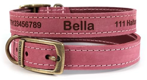 Personalisiertes Leder Hundehalsband (Rot, Größe 4) mit Wunschgravur | Laser-graviertes Ancol Halsband für Welpen, Individuell gestaltet mit Wunschtext oder Name ~ Hundemarke aus echtem Leder