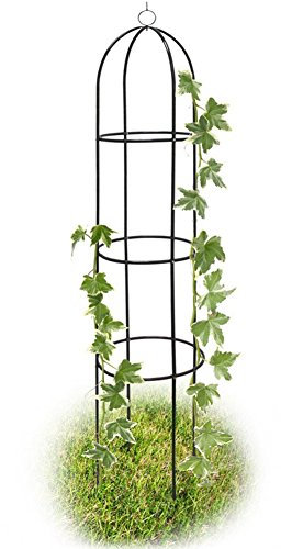 BAKAJI Supporto per Piante Rampicanti Obelisco Arco da Giardino Altezza 185 cm Colore Verde Scuro