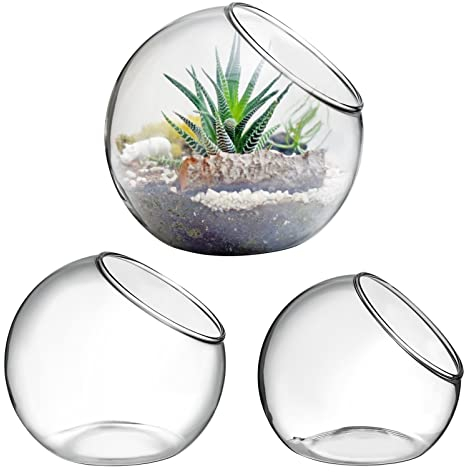Alipis 3 Stück Glas-Terrarium-Pflanzenhalter Schräg Geschnittener Pflanztopf Klarglasvase Sukkulentenhalter Tischdekoration Dekorative Behälterschale Für Pflanzen Süßigkeiten Früchte