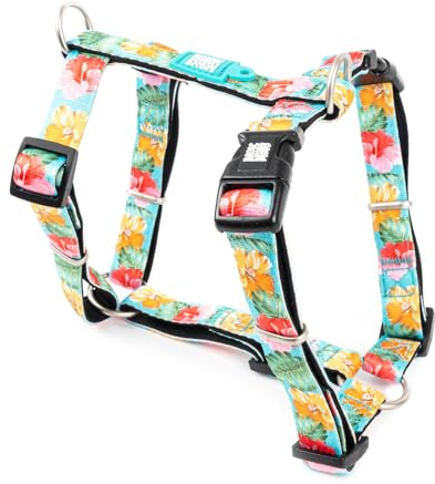 Max & Molly H-Geschirr - Exotique, XS