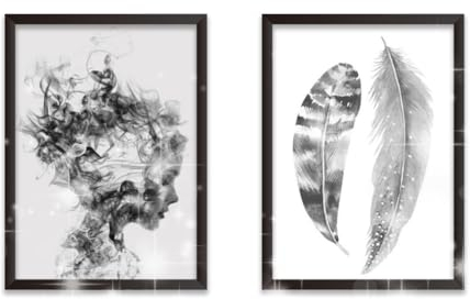 Zamety 2er Set Bilder Schlafzimmer, Moderne Bilder Wohnzimmer, 30 x 40cm Poster Wandbilder Wohnzimmer, Schwarz Weiß für Mädchen und Federn, für Schlafzimmer und Ateliers, Ungerahmte