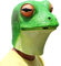 PartyCostume - Masque grenouille - Costume d'Halloween en latex pour adulte et enfant