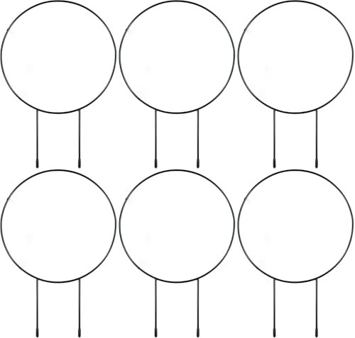 6 unidades de enrejado para plantas trepadoras, enrejado interior, enrejado redondo para plantas en macetas, soporte para plantas en maceta, soporte para plantas trepadoras, enrejado para plantas