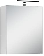 byLIVING Spiegelschrank Spree/Korpus matt weiß mit Spiegeltüren/Hängeschrank mit Soft-Close-Funktion/mit LED-Beleuchtung Badschrank mit Stecker- und Schalterdose/B 50, H 60, T 20 cm