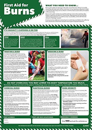 Daydream Education „First Aid for Burns“-Poster (englische Version)