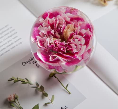 Zhyx Nelkenblume Briefbeschwerer Carnation Flower Crystal Wishing Ball Der einzigartige Briefbeschwerer Nelkenblume ist das perfekte Geschenk für Familie, Freunde, Paare und Kinder (7 cm Durchmesser)