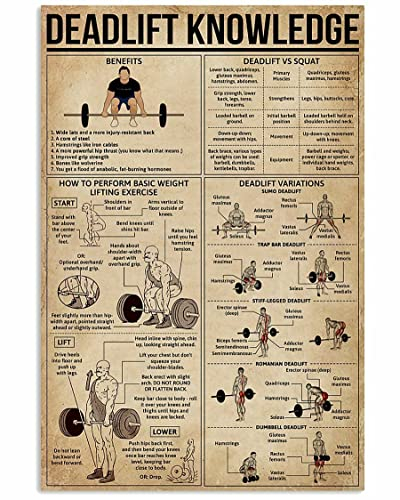 Ara Step Retro Knowledge Art Poster Prints 3 (Deadlift Knowledge Vertikaler Kunstdruck Poster, Innendekoration Geschenk, 297 x 420 mm)