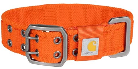 Carhartt Pet Voll Verstellbares breites Gurtband-Halsband für Hunde, strapazierfähiges Nylon zum Spazierengehen und Training, Blaze Orange, Größe M