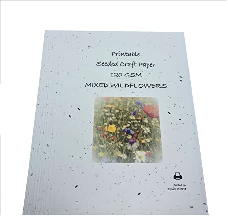 A4 Seeded Craft Printer Paper Wildflower Seeds 120GSM Printable Plantable ECO (10) NATURAL NATION