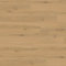 Rigid Vinylboden mit integrierter Trittschalldämmung | Design Bodenbelag 5/0.3 x 225 x 1220 mm Klick Vinyl Holzoptik Eiche Beige | Nutzklasse 23/31 für Privaten und Gewerblichen gebrauch