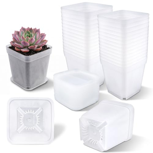 Ronyes 28-Pack 7 cm Clear Square Nursery Pots with Saucers | Drainage Holes Controlled Moisture Support Seedlings, Herbs, Succulents and Cacti on Windowsills, Patios or Shelves