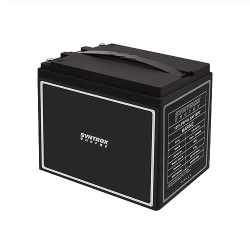 Syntrox Germany Lithium LiFePO4 Wohnmobil Batterie, für Camping, Wohnmobil Energieversorgung, Langlebige Batterie (40Ah + Display)