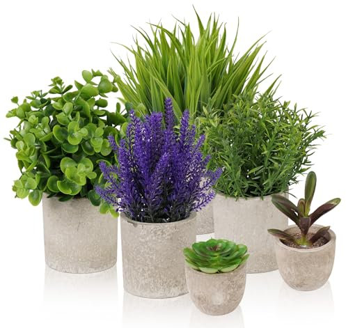 ilauke Planta Artificial Realista, 6 Mini Ecologización Artificiales Macetas Plantas Plásticos Plantas Falsa,Plantas Suculentas Artificiales en Maceta,Fake Plants de Emulación Artificial para Casa