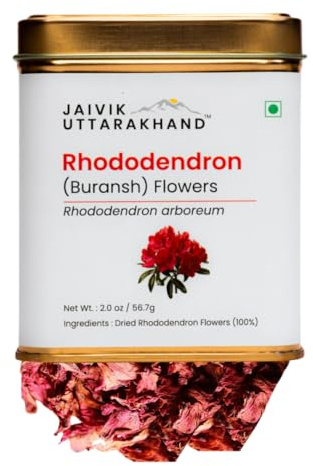 Jaivik Uttarakhand - Rhododendron (Buransh) Flower Tea (02 oz/56.7 g), Natural Himalayan Herbal Tea, Earthy Floral Tangy Taste, No Preservatives, Pack of 1 Tin Can