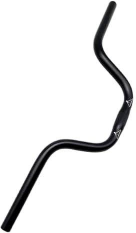 Fahrrad mountainbike Riser Lenker aus leichter 25,4mm MTB Handlebar Fixie Single Speed 580-620mm H120 Schwarz Silber neu (620 mm Schwarz)