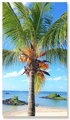 WunschPIXEL – Wandbild Palme auf weißem Acrylglas, 70x40 cm, Kokospalme, Meer, Strand, Hochformat, Wanddeko Wohnzimmer oder Küche, inkl. Aufhängung