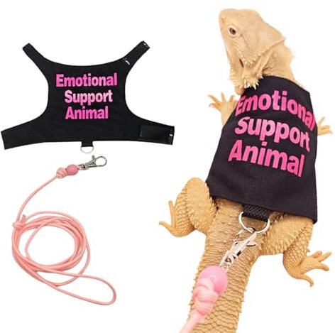 Bartdrachen-Geschirr und Leine, verstellbares Eidechsen-Traktionsseil, Outdoor-Walking-Trainingsleine, Reptilien, emotionale Unterstützung, Tierkostüm, Zubehör für Bartagamen, Eidechse, kleine