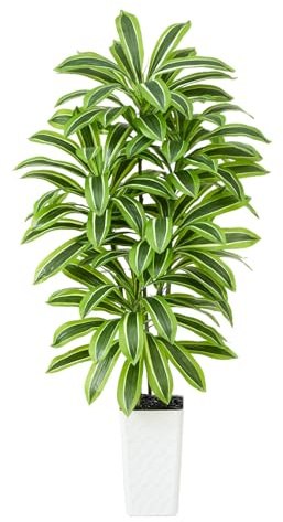 Artificial Dracaena Tree 6FT, Tropical Fake Plants with Tall White Planter | Large Artificial Yucca Plants, Fake Floor Trees in Pot for Indoor Outdoor Home Living Room Office Balcony Modern Decor