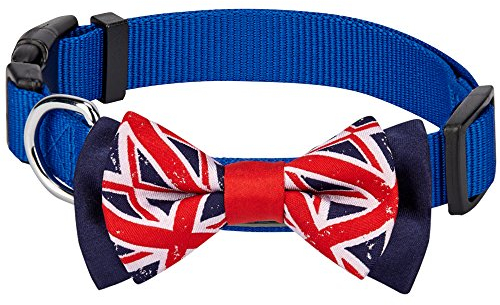 Blueberry Pet Nationalstolz Artistische Handgefertigte Union Jack Flagge Fliege Hundehalsband in Blau, M, Hals 37cm-50cm