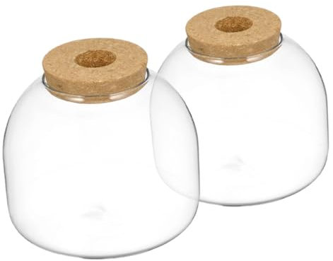 Yardwe Bouteille en Verre - Bouteille de Paysage de Mousse de Bureau Succulente Pot de Plante Décoratif Polyvalent