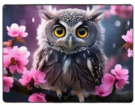 RAIZHE Flanell-Teppich mit Eulen-Motiv, rutschfest, wasserabsorbierend, vielseitig einsetzbar, für Wohnzimmer, Decke, Schlafzimmer, Kinderzimmer, 160 x 121,9 cm