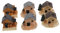 DRESSOOS 6 Stücke Harz Miniatur Villa Zubehör Mini Form Für Landschaft Bonsai Terrarium