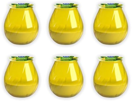 6er Set Citronella Duftkerzen im Glas Gelbe Windlichter für Außenbereich Kerzen für Garten Balkon Terrasse & Camping Outdoor Deko