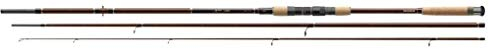 Cormoran APM SRP Posenrute 3.00m 5-25g