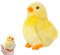 Pruojhw Ente Kuscheltier, Ente/Küken Plüsch Stofftier PlüSchtier Gans Spielzeug Einfache Dekoration Wurfkissen Stofftier, Zum Spielen Und Kuscheln, Geschenk Für Kinder Mädchen