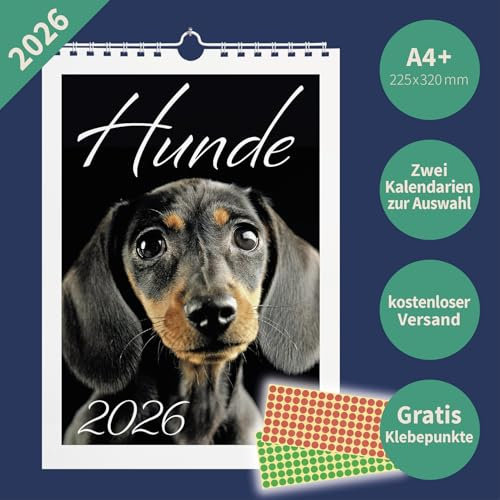 Hunde 2026 Wandkalender A4+ – Süße Hundefotos & Hunderassen – 22,5×32,0 cm – mit Markierungspunkten – Fotokalender Tiere & Haustiere (Kalendarium 2)