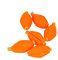 bissanzeiger fliegenfischen,Angeln Schwimmer Set Fliegenfischen Float Strike Indicatoln Bobbers, 6pcs Float Foam Fliegenfischen Boje Bobbers Strike Indikatolgerät(Orange)