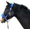 Halfter für Pferde Fell Halfter unterlegt Halfter blau in den Größen xfull Halfter, Pony, Cob, Warmblut (Blau, Kaltblut (X-Full))