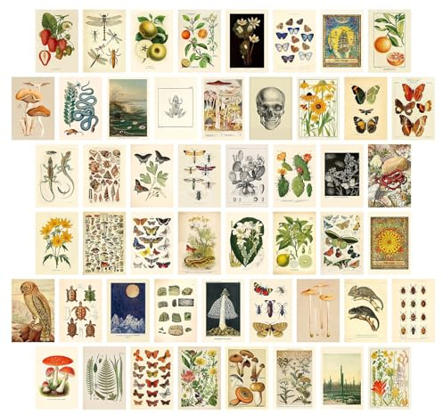 Dazzlewall 50 Stück Vintage Wandcollage Set, Ästhetische Bilder für Schlafzimmer Wohnzimmer, Vintage Botanische Wandbilder VSCO Wand Poster Beidseitiger Druck