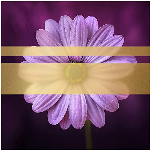 Milchglasfolie 8510 Etched Glass Cal fein Frosted Folie Sichtschutz Bastelfolie Selbstklebend Plotterfolie Plottfolie Fenster Glas (100 cm (Meterware), Gold)