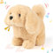 Hopearl Gehender Hund Golden Retriever Interaktive elektronische Haustier Plüsch Spielzeug Welpe Woff und bewegte animierte Knotenkopf Geschenke für Kleinkinder Geburtstag, braun, 18cm
