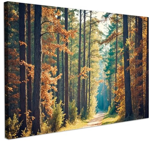 CHDITB Natur Wald Wandkunst,Sonnenaufgang Wald Leinwandbilder XXL,Landschaft Wanddeko,Baum Berg Landschaft Poster Dekoration,Natur Grün Bilder Wohnzimmer Schlafzimmer Büro,59 * 39cm