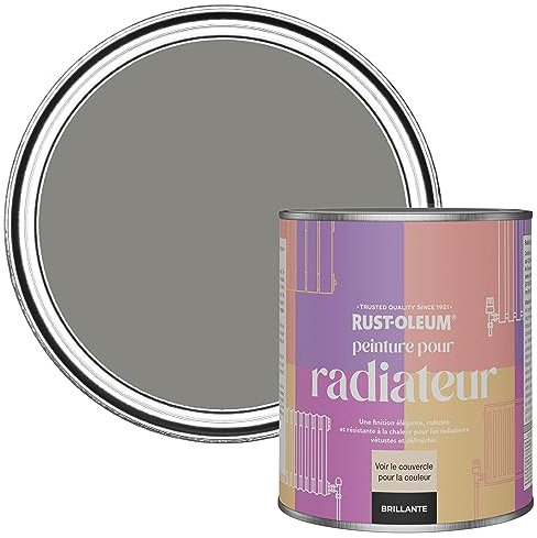 Rust-Oleum Peinture Grise Résistante à la chaleur pour Radiateur, Finition Brillante - Béton 750ml