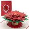 Diese-Klappkarten 3D Karte Weihnachten Pop Up Weihnachtsstern - Weihnachtskarte Freundin Frauen - Weihnachtskarten mit Umschlag - 3D PopUp Karte für Geldgeschenke - Gutschein Karte