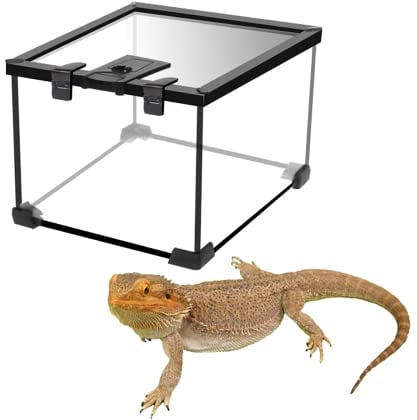 Terrarium Reptile, Exoterra Terrarium en Verre pour Phasme, Araignée, Scorpion, Grenouille à Cornes, Scarabée, Montage Facile(20 * 20 * 16cm)