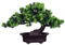 Bonsai Künstliche Bonsai-Baum Pflanzen Dekoration Plante Artificielle Feng Shui Pins Japonais Feng Shui Lucky Décoration Feng Shui Arbre Artificiel, Hauteur Env. 20 Cm, Vert