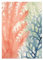 BYAMBD Leinwandbilder Kunstdruck Blau, Grün, Orange, Algen, Korallen, Poster, Drucke, Leinwand, Moderne Wandkunst, Bild Für Wohnzimmer, Heimdekoration(D,50x70cm)