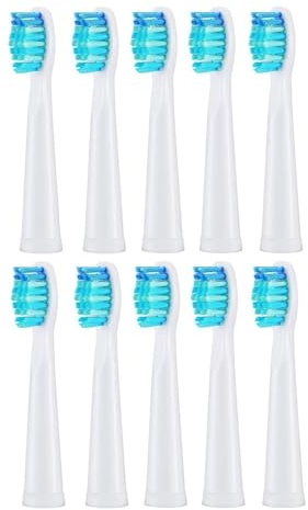 10 Stück Ersatzbürstenköpfe, kompatibel mit Seago/Fairywill, elektrische Zahnbürstenköpfe, Borsten-Nachfüllpackung, Zahnreinigung(10pcs white)