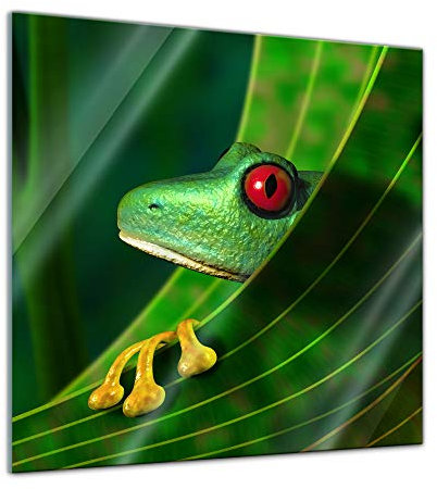 Bilderdepot24 Glasbild - Frosch - 20 x 20 cm - Deko Glas - Wandbild aus Glas - Bild auf Glas - moderne Glasbilder - Glasfoto - Echtglas - kein Acryl - Handmade