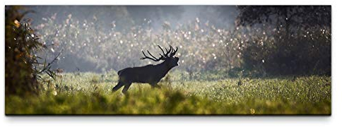 Eau Zone Leinwandbild auf Echtholzrahmen Hirsch im Wald 120x40cm
