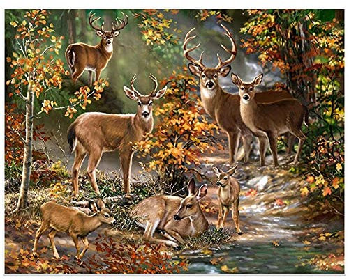 Kit Diamond Painting Cerf animal de la forêt Peinture Diamant 5d Complet Enfant,Kit Broderie Diamant Grand Format,Diamant Painting Art Creatif Adulte,Canevas Artisanat la Décoration Murale 30x40cm