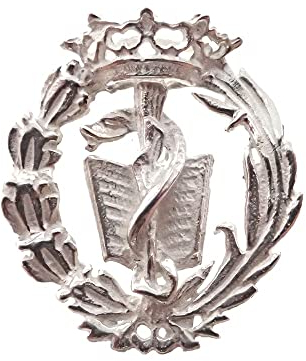 Insignia profesional Medicina escudo plata Ley 925m 19mm. pin cierre trasero latón plateado