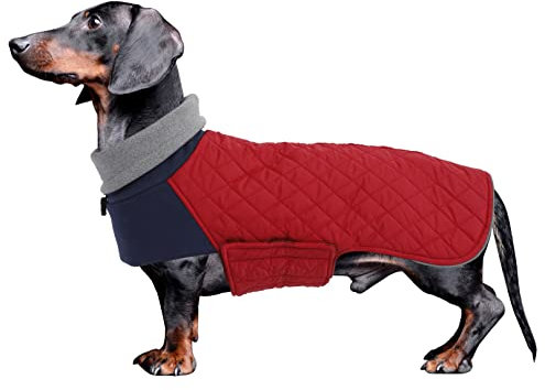 Geyecete Hundemantel Dackel, Dackel Wintermantel, Warmer Quilten Miniatur Dackelmantel mit Geschirr Loch,Winddicht Rollkragen Hundejacken für kleine Hunde-Rot-S