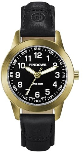 PINDOWS