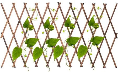 Treillis en bois - Treillis de jardin pour plantes grimpantes | Panneaux de treillis de jardin en bois | Panneaux en treillis de support végétal | Panneau de licence Willow et accessoires de jardin